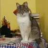 Отзыв от Лилия Дьякова